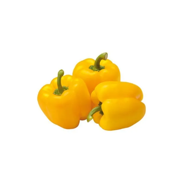 Capsicum Yellow 250g