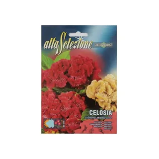 Alta Flower Celosia Cristata Mixed Seed