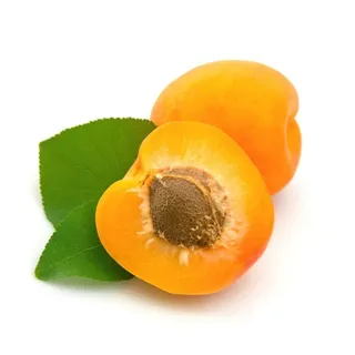 Fresh Apricot - Tunisia