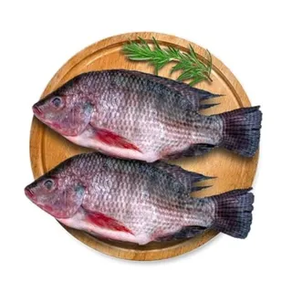 Fresh Egypt Tilapia Fish 1kg