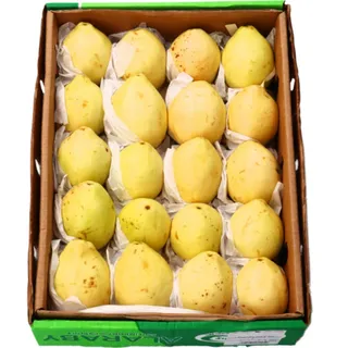 Guava Egyptian Carton