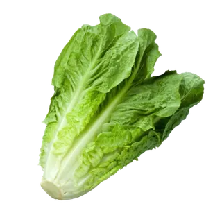 خس - روماني, 500g