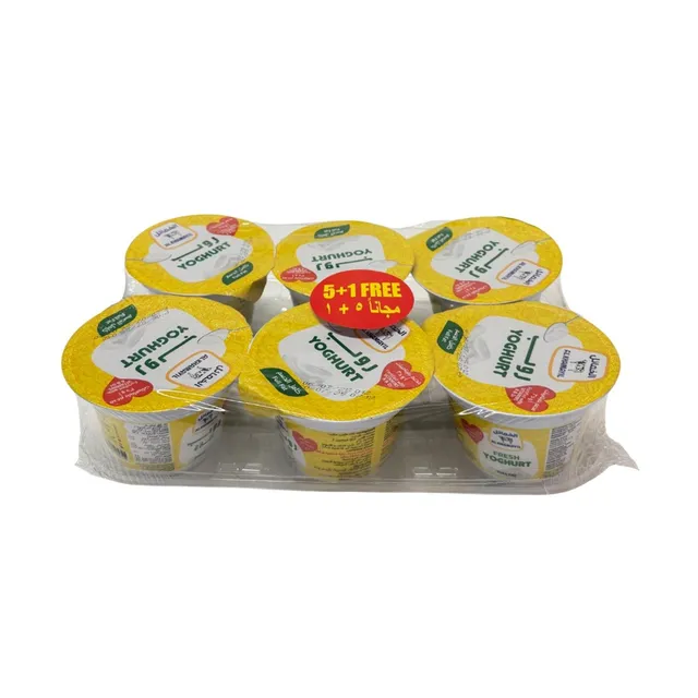 Al Khamayil Plain Full Fat Fresh Yoghurt, 6x170g