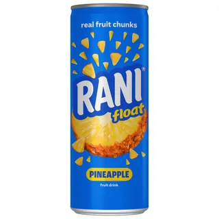 راني أناناس عصير مع فلوت، 240ml