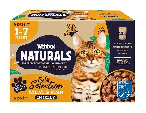 Webbox Adult Meat & Selection in Jelly Cat Food, 12x100g