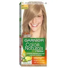 Garnier Permanent Hair Color Cream Ash Blonde 8.1