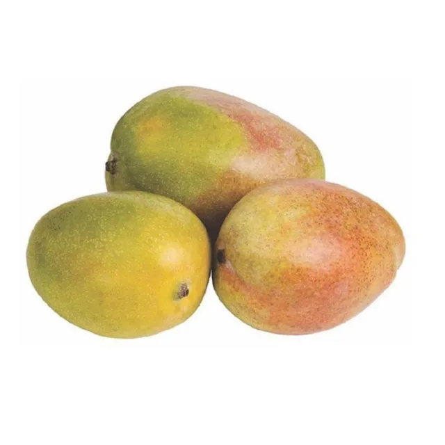 Mango - Egypt 1kg