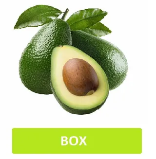 Avocado (Zein Box) Almost 900 Gm
