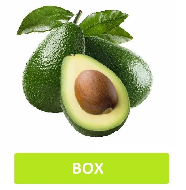 Avocado (Zein Box) Almost 900 Gm