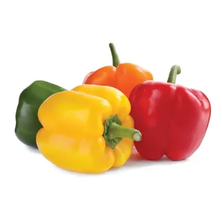 CAPSICUM MIX 4 COLOUR IMPORTED EA