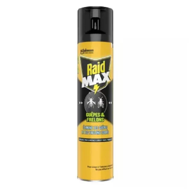 Raid Insecticide Aerosol Wasps & Hornets, 300ml