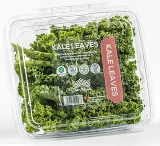 Green Kale Leaves, 1 Piece
