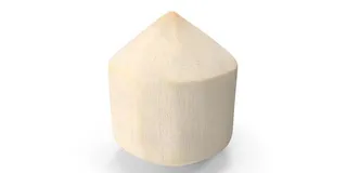 Coconut Young, 1 Piece