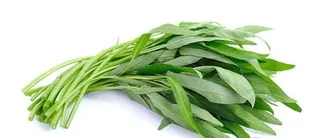 Water Spinach, 1 Piece