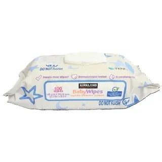 Kirkland Fresh Spring Scent Baby Wipes, 100 Sheets