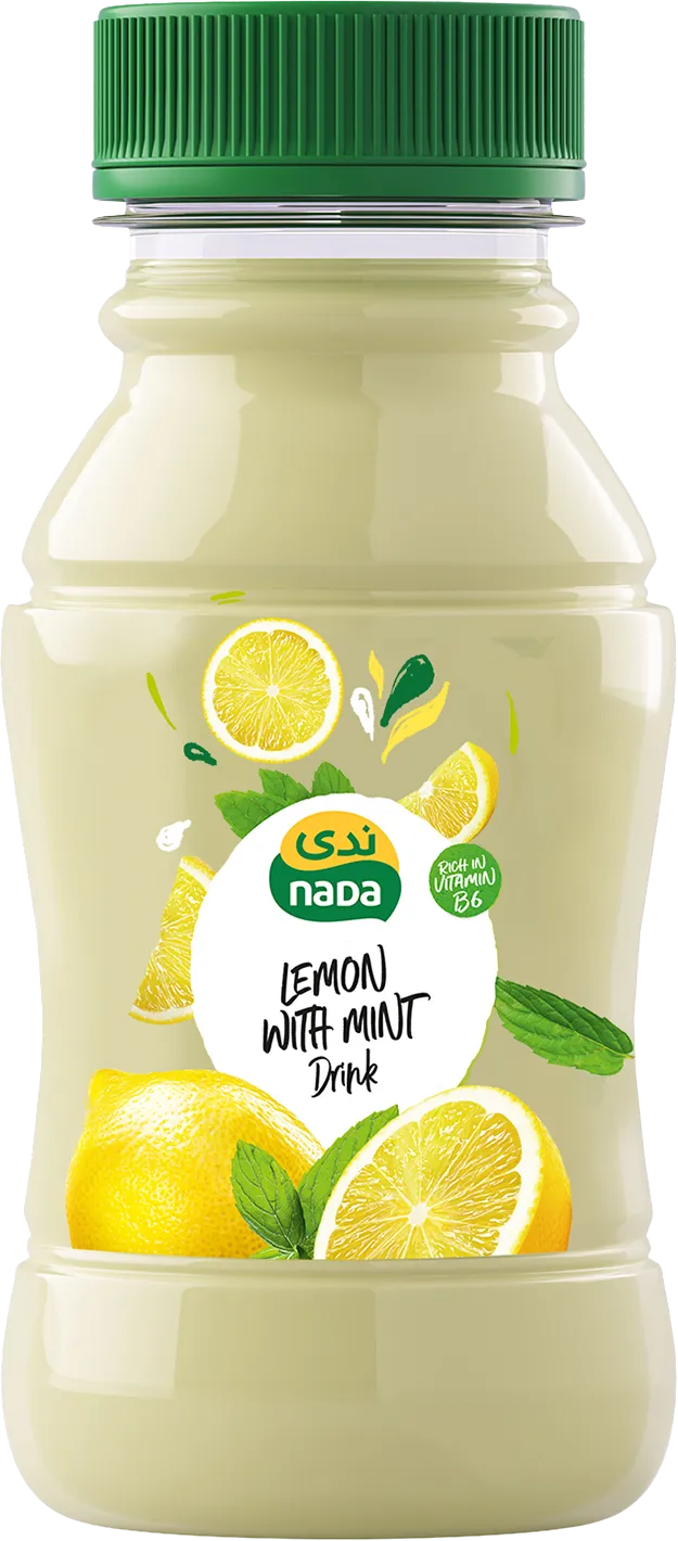ندى عصير ليمون بالنعناع مع اللب 200ml