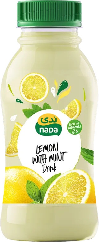 Nada Lemon with Mint Juice, 300ml