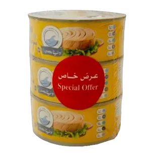 Oceana Light Meat Tuna In Oil 160g x 3