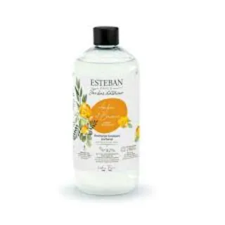 Esteban Amber Refillable Scented Bouquet, 500ml