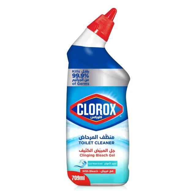 Clorox Toilet Cleaner Clinging Bleach Gel