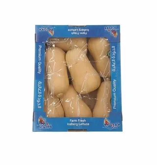 Pumpkin Cartoon 51007,  2.5kg