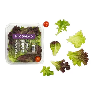 Dar Aqua Mix Salad Local Box