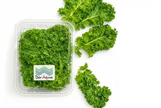 Dar Aqua Baby Kale Leaves Box
