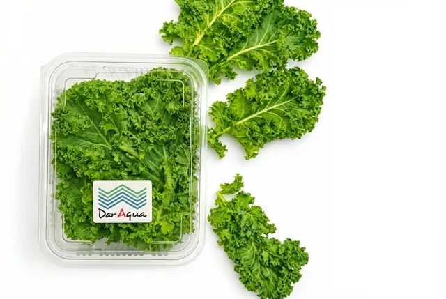 Dar Aqua Baby Kale Leaves Box
