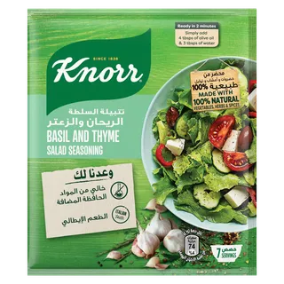 Knorr Basil & Thyme Salad Seasoning 10g