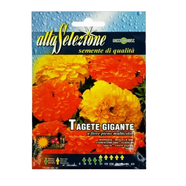 Alta Flower Tagete Giant Mixed Seeds, 1 Piece