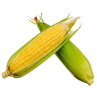 إليت ذرة حلوة - الإمارات، 500g