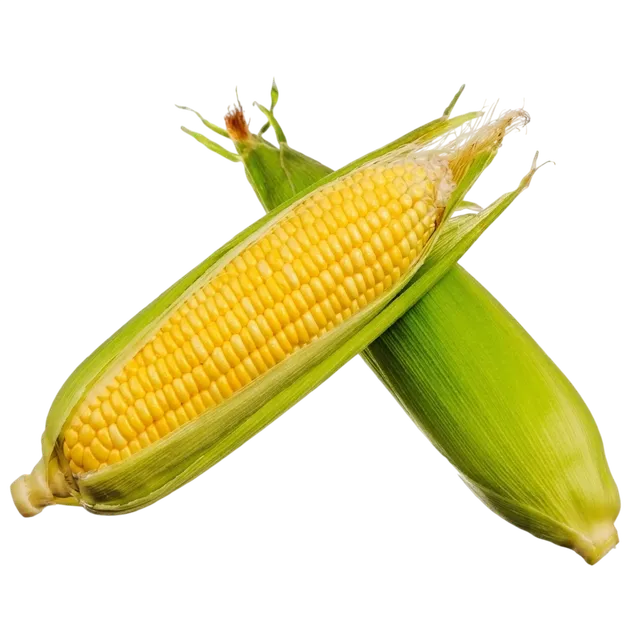 إليت ذرة حلوة - الإمارات، 500g