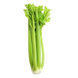 Celery Stick - USA 1kg