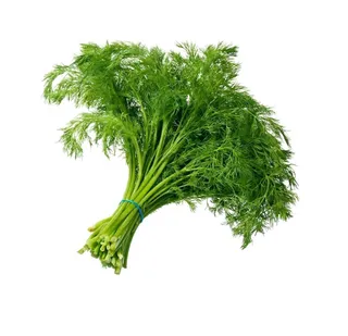 Dill, 1 Piece