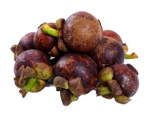 Thailand Mangosteen