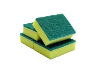 Super Spongdex Scouring Pads 10 Pieces