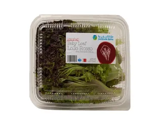 Lettuce Baby Lolo Rossa, 1 Pack