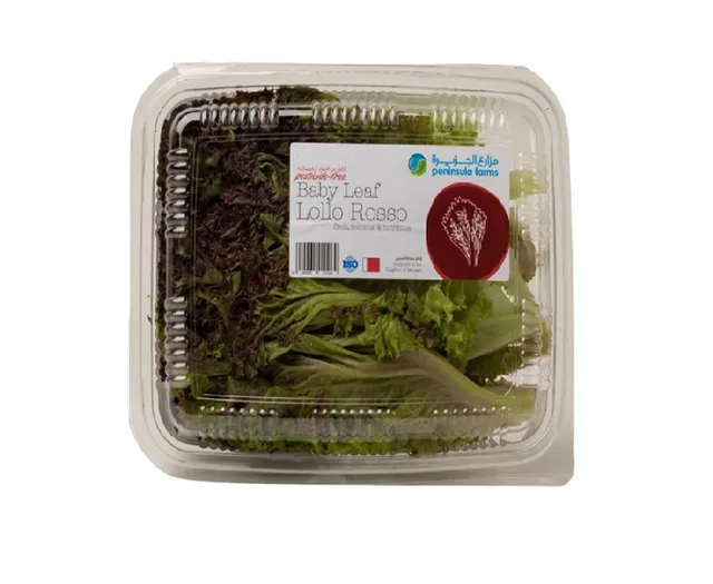 Lettuce Baby Lolo Rossa, 1 Pack