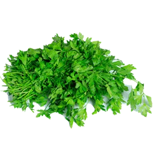 GREEN PARSLEY LOCAL