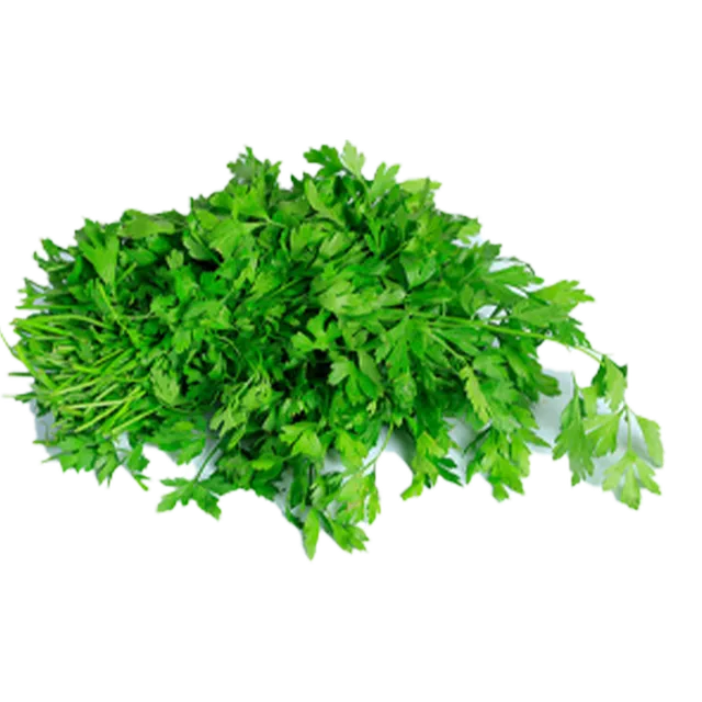 GREEN PARSLEY LOCAL