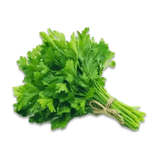 CORIANDER GREEN LEAVES LOCAL