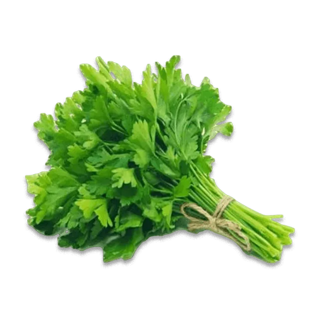 CORIANDER GREEN LEAVES LOCAL