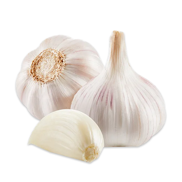 GARLIC 450G