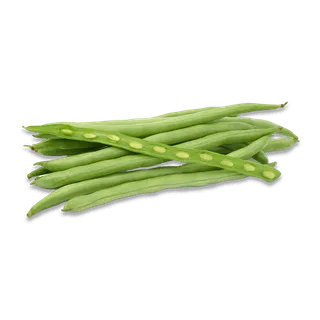 GREEN DILL EA