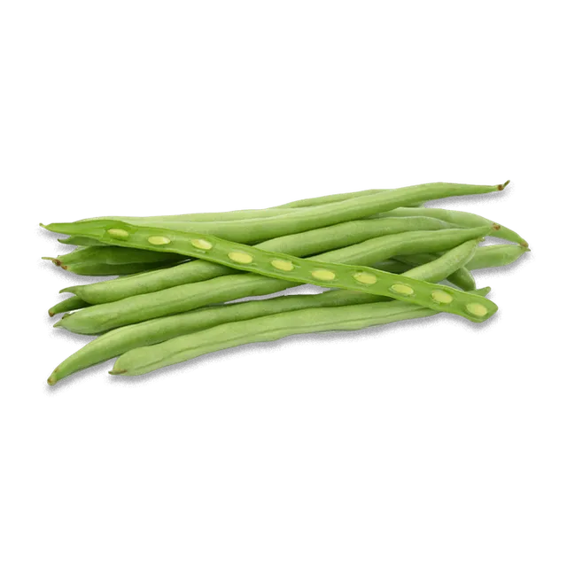 GREEN DILL EA