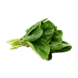SPINACH EA