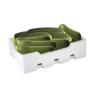 Zucchini Foam Big Box