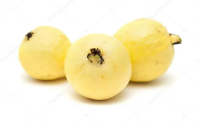 Gauva Packet 0.750gm