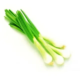 Spring Onion Pc 5117