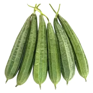 ثوراي، 500g